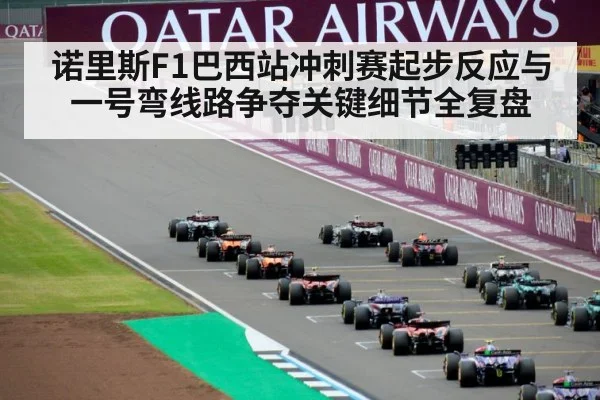 诺里斯F1巴西站冲刺赛起步反应与一号弯线路争夺关键细节全复盘