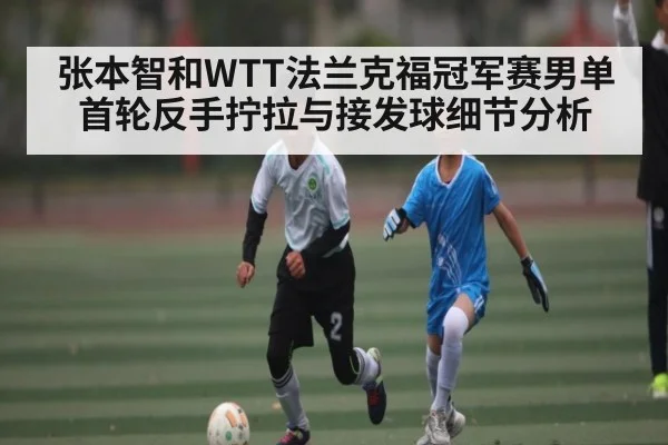 张本智和WTT法兰克福冠军赛男单首轮反手拧拉与接发球细节分析 - KAIYUN APP